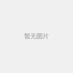  SKF风力发电电动泵P40131411114